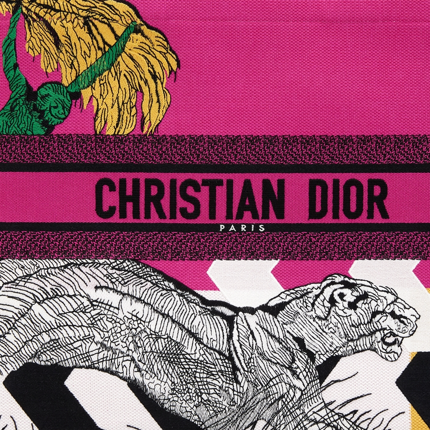 Túi Dior Tole de Jouy Zoom Pop 'Pink' M1286ZROH-929