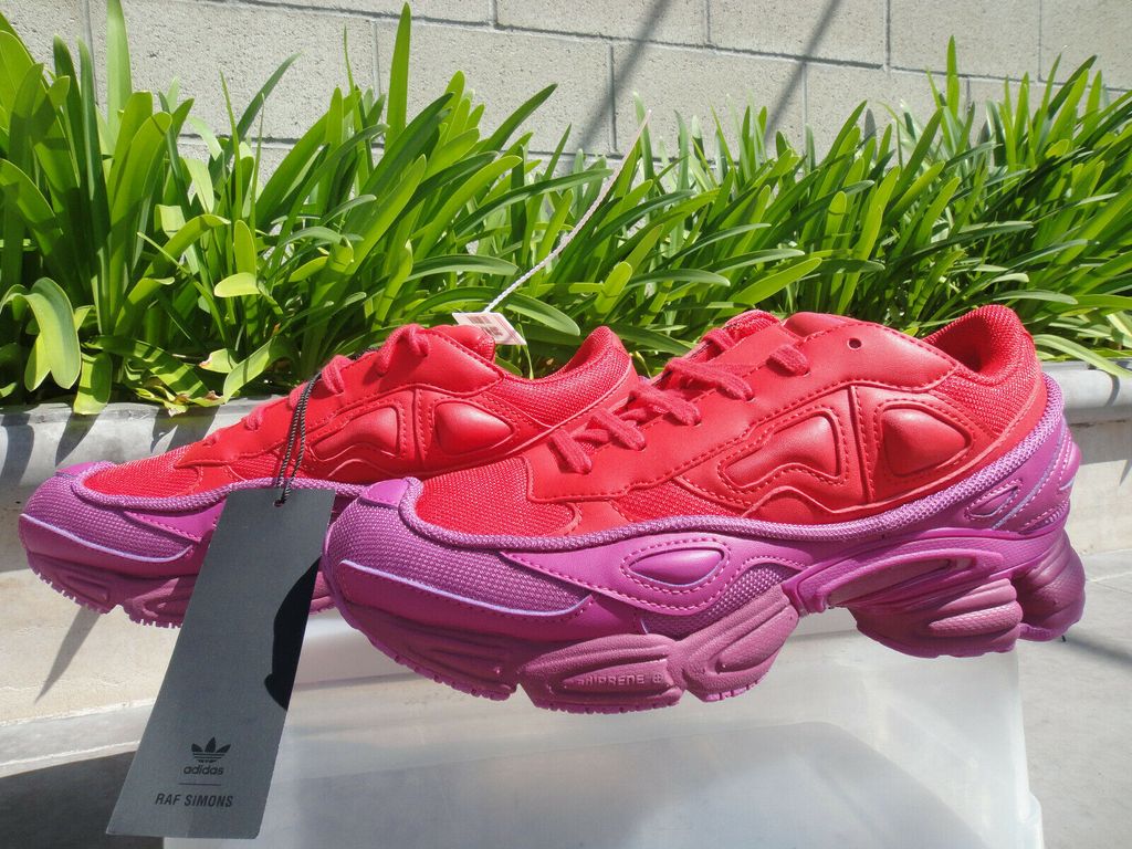 Raf simons glory Clearance