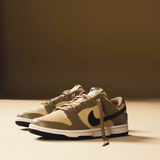 Giày Nike Dunk Low 'Dark Driftwood' DD1503-200
