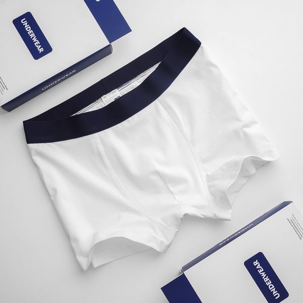  Boxer Basic UNI 