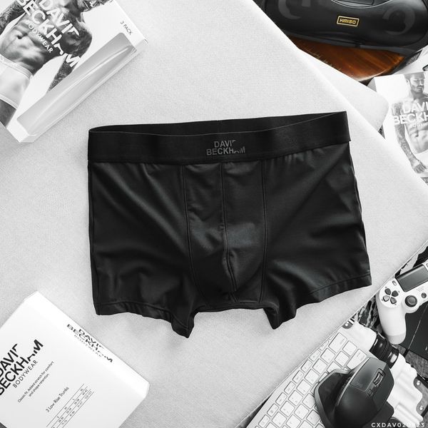  BOXER DAVID 3M 