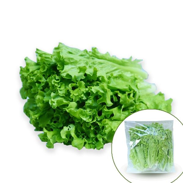 Xà Lách Lollo Xanh Kb 250G