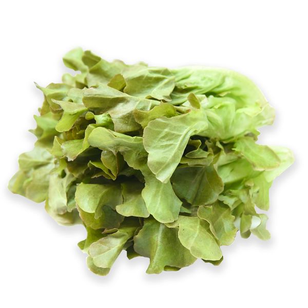 Lettuce Red Oakleaf Gg 250G
