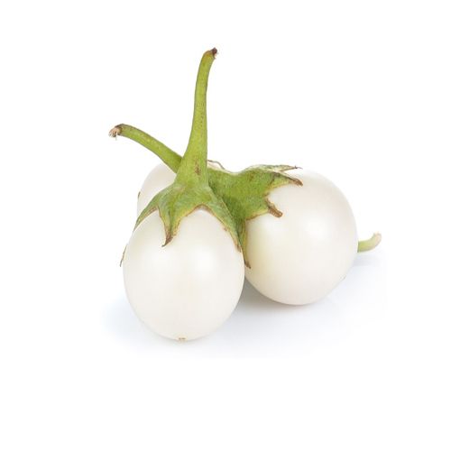 African Eggplant 500G