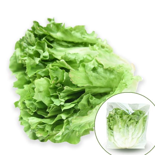 Lettuce Carol 250G