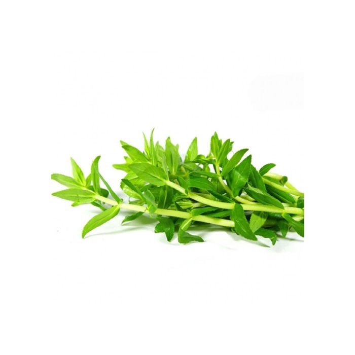 Ngò Om Viet Gap 100G