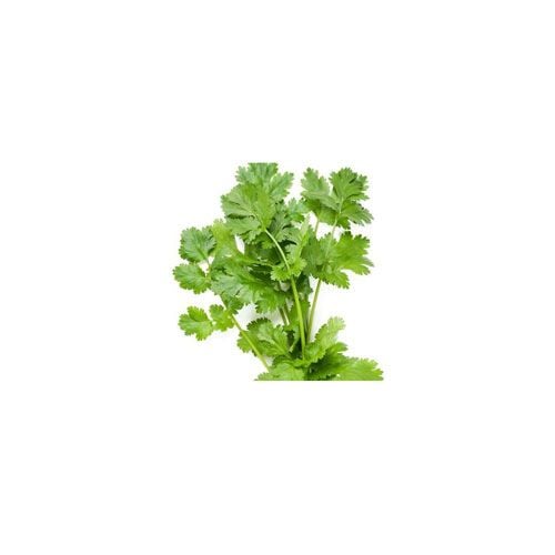 Coriander (Cilantro) 50G