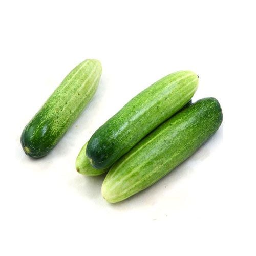 Org Farming Cucumber 500G