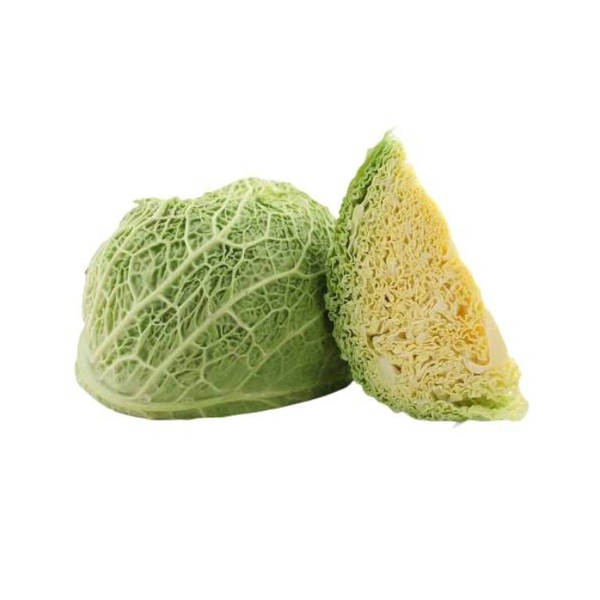 Savoy Cabbage Ant Farm 500G