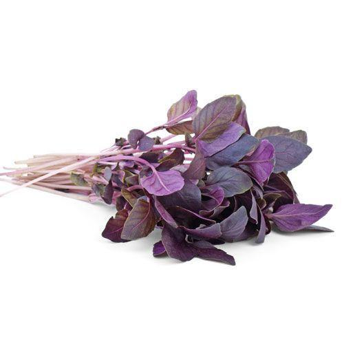 Purple Basil 100G- 