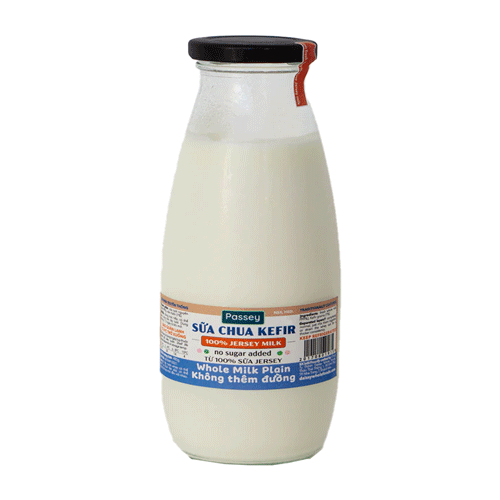 Fresh Yogurt Kefir Daissy 480G- 