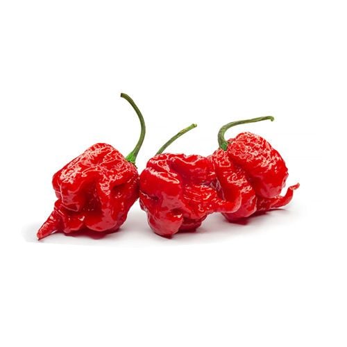 Carolina Reaper 8-12G/Pc