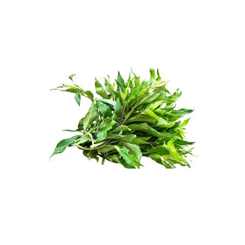 Wild Longevity Spinach Bio Ngon 300G