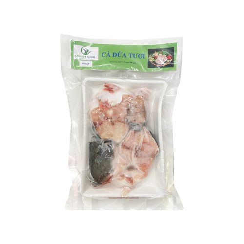 Frozen Pangasius Kunyit Can Gio Futre 500G- 