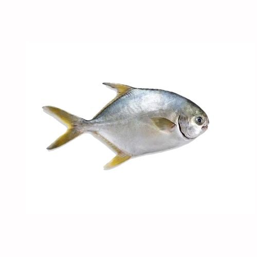 Frozen Whole Silver Pomfret 500G