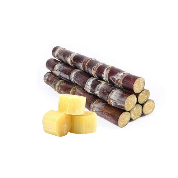 Mía Tươi Cắt Khúc 500G