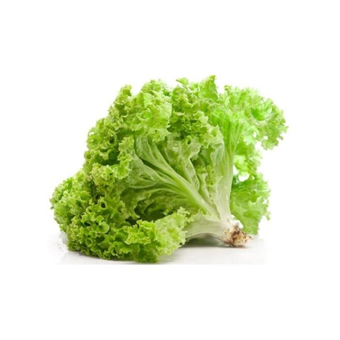  Lettuce Green Lollo Only Natural 250G 