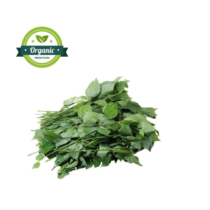 Rau Ngót Giống Nhật Hữu Cơ 250G – Nam An Market