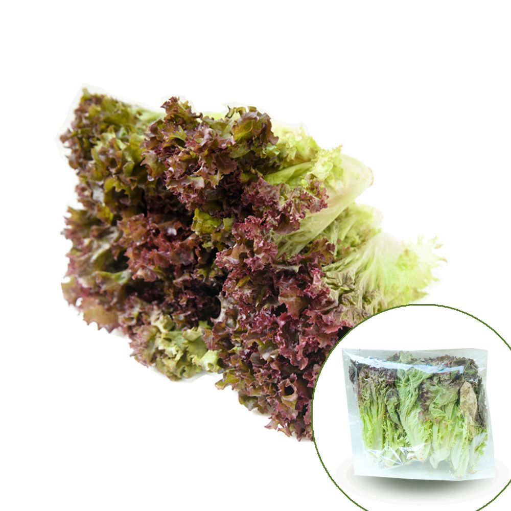 Lettuce Lollo Rosa 250G- 