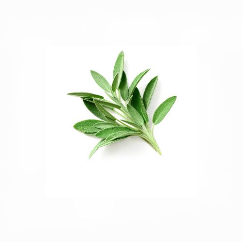 Sage Only Natural 50G- 