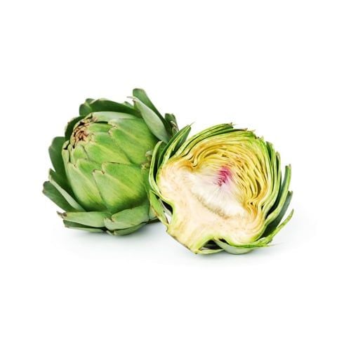 Australian Artichoke Ant Farm 500G