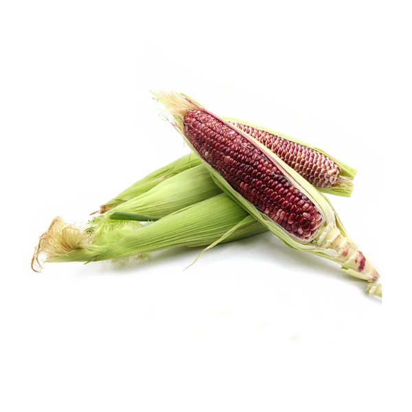 Purple Sweet Corn