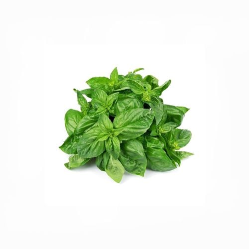 Lá Húng Quế Tây Only Natural 50G- 
