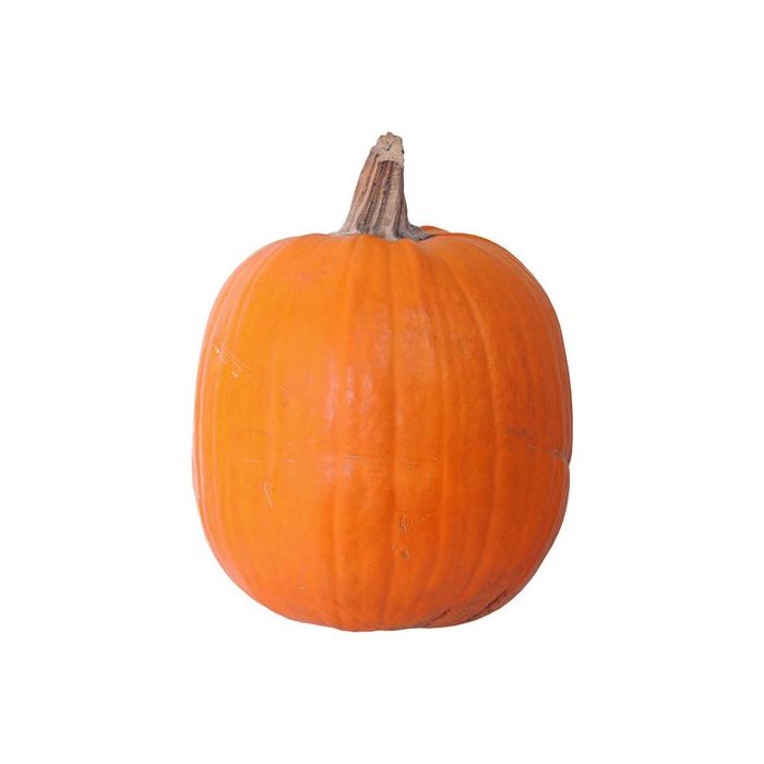 Halloween Pumpkin (Medium Size)- 