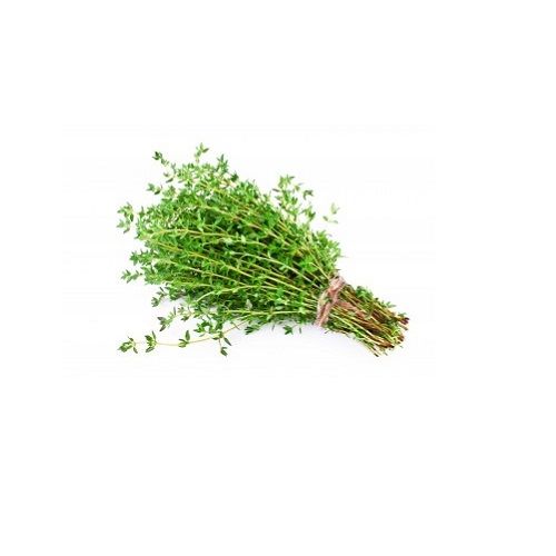 Gg Thyme 50G- gg thyme g