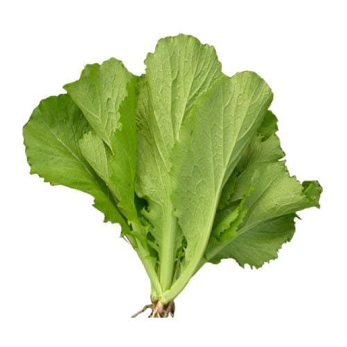 Green Mustard Rau Cuoi Viet Nhat 250G