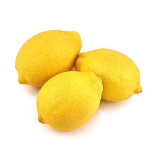 Lemon Egypt Ant Farm 500G- 