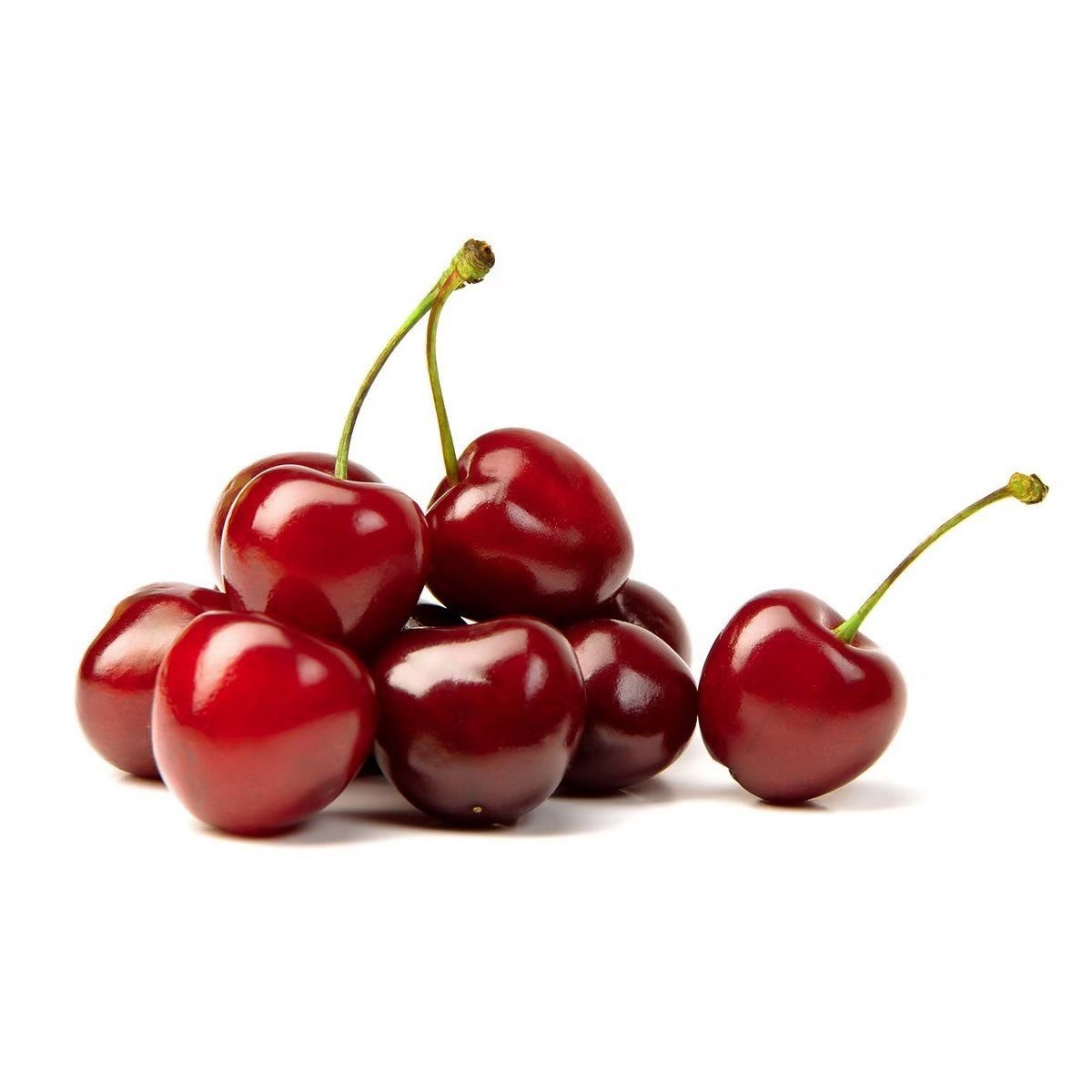 Cherry Size 9.5 300G- 