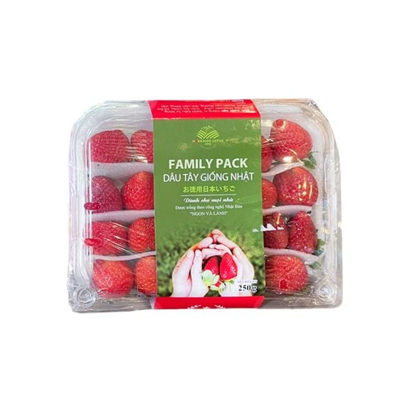 Strawberry Family 250G