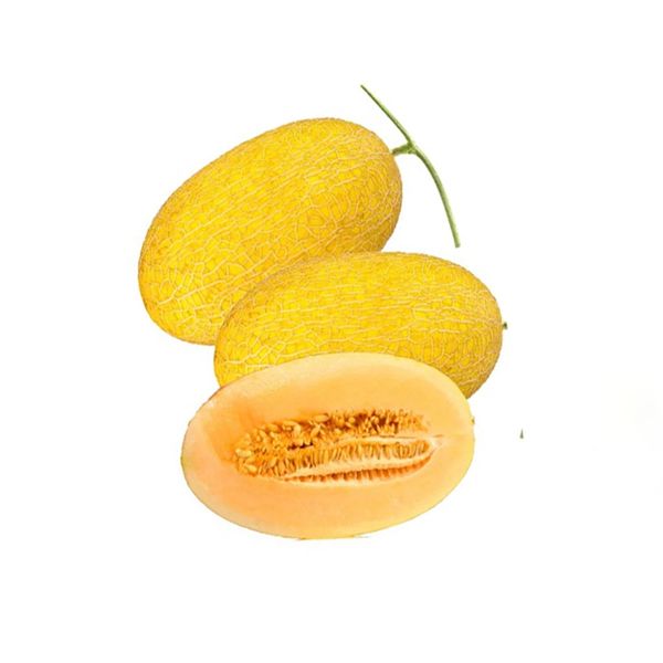 Golden Cantaloupe 1Kg