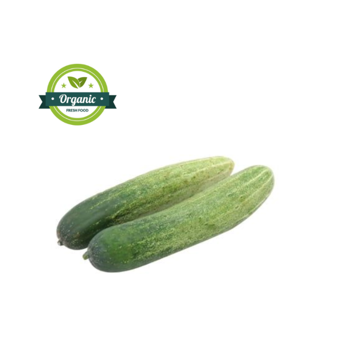 Trái Dưa Leo Hữu Cơ 500G