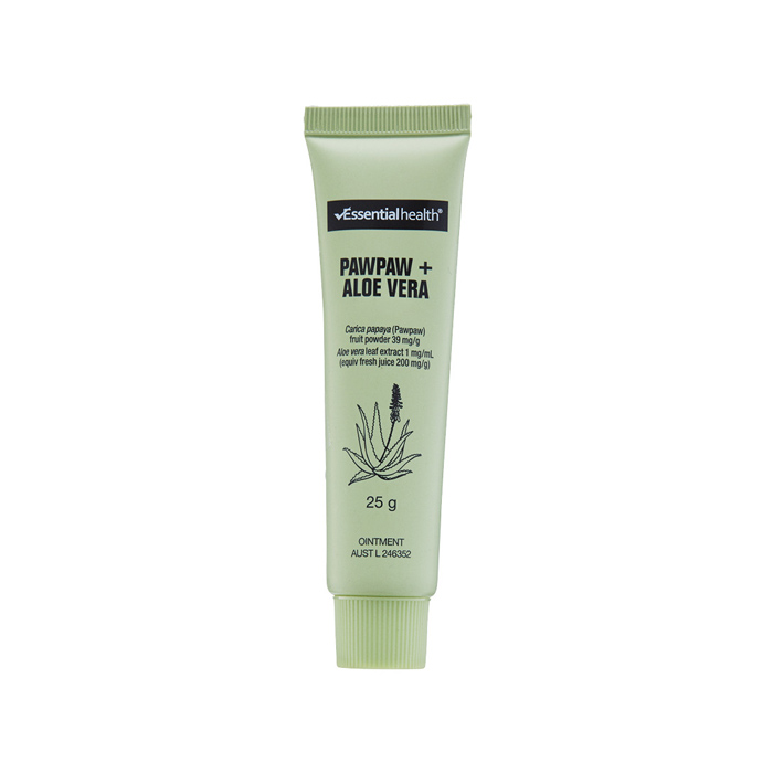 wie oft sollte man eine aloe vera gießen Aloe Vera