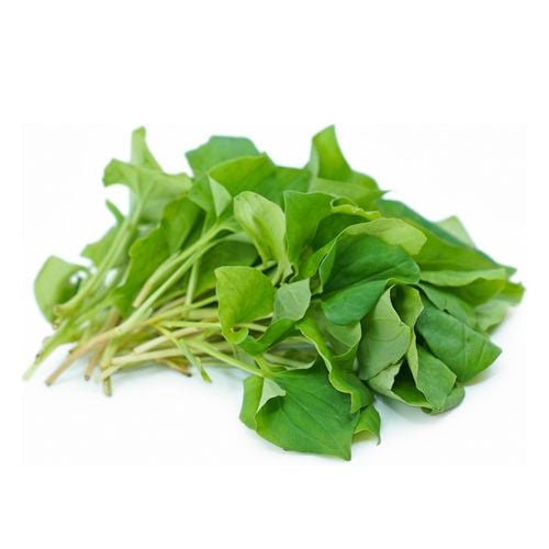 Lá Diếp Cá 100G