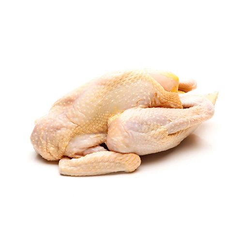 Ganoderma Fed Free Range Frozen Whole Chicken (1.3Kg-1.8Kg)- 