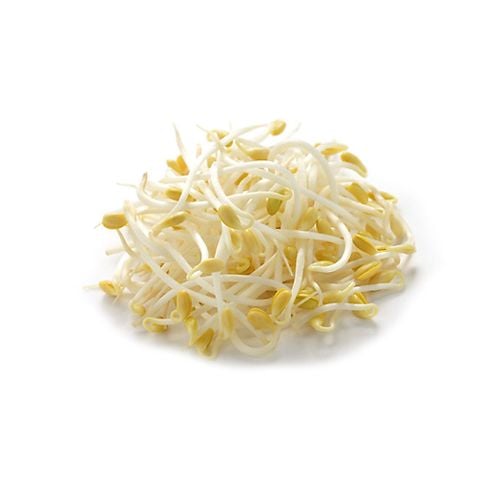 Green Bean Sprouts Rau Cuoi Viet Nhat 2500g