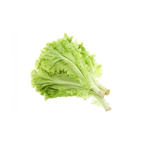 Lettuce Lollo Green Org Viet An 150G- 