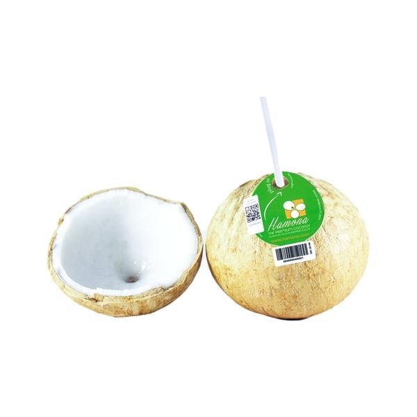 Dừa Tươi Hamona Size L
