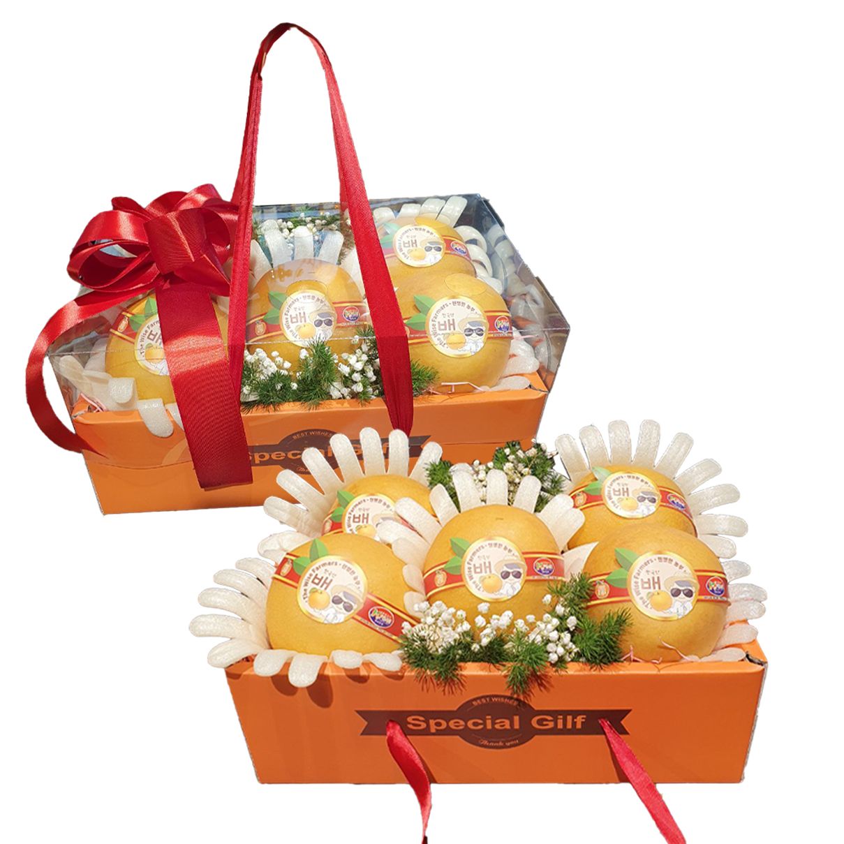 Special Fruits Gift Box 3- 