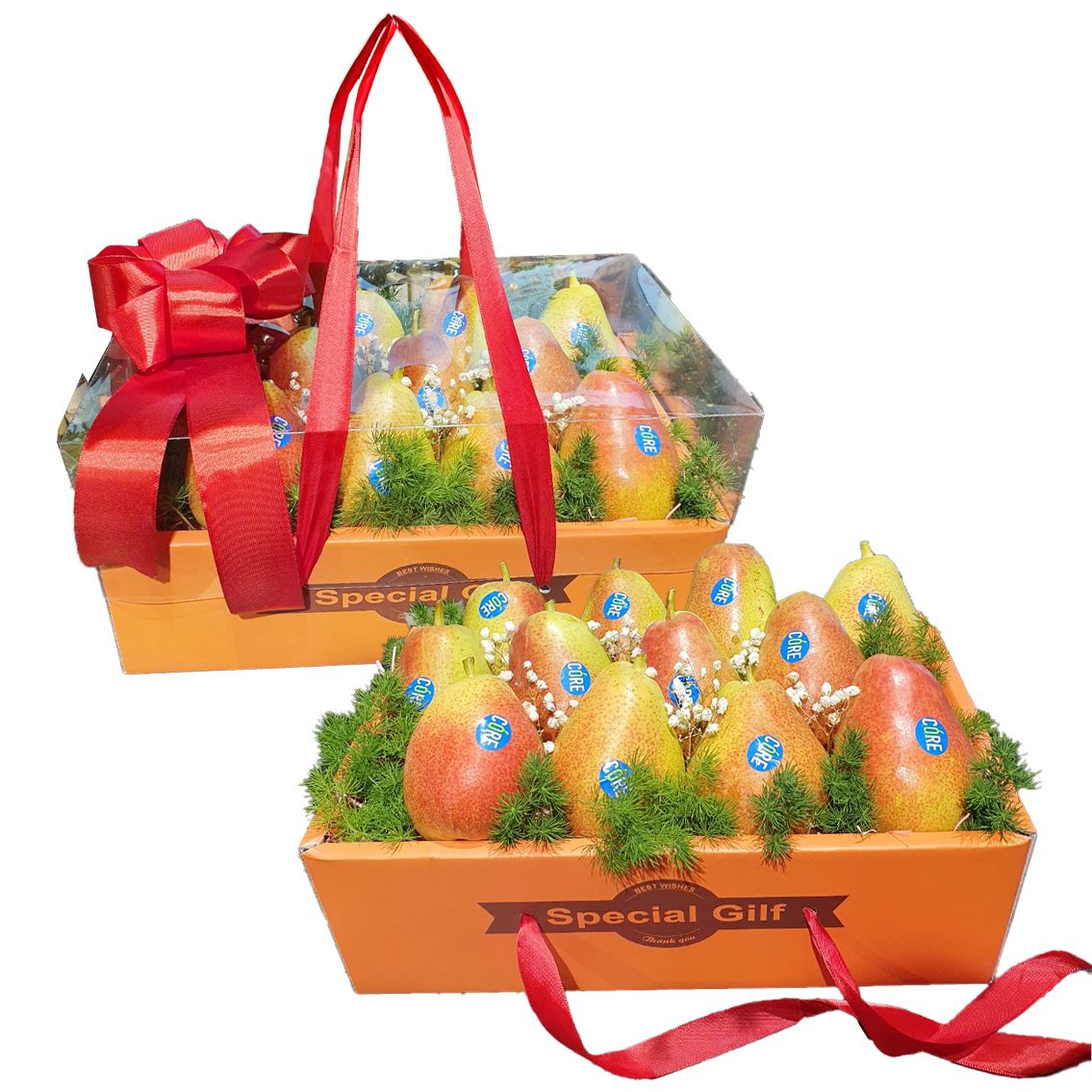 Special Fruits Gift Box 4- 