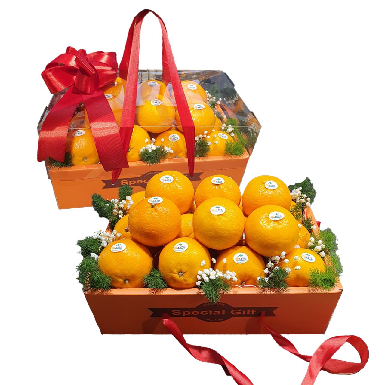 Special Fruits Gift Box 2- 