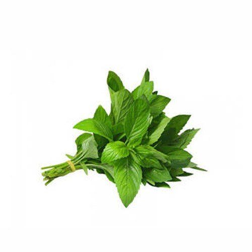 Vnese  Basil 100G