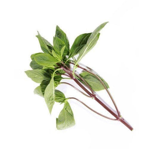 Vnese Purple Basil 100G