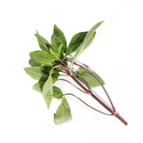 Vnese Purple Basil 100G- VNESE PURPLE BASIL 100G