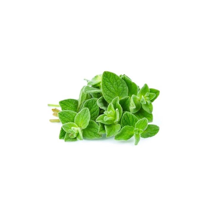 Ogr Vnese Oregano Yuuki Farm 50G