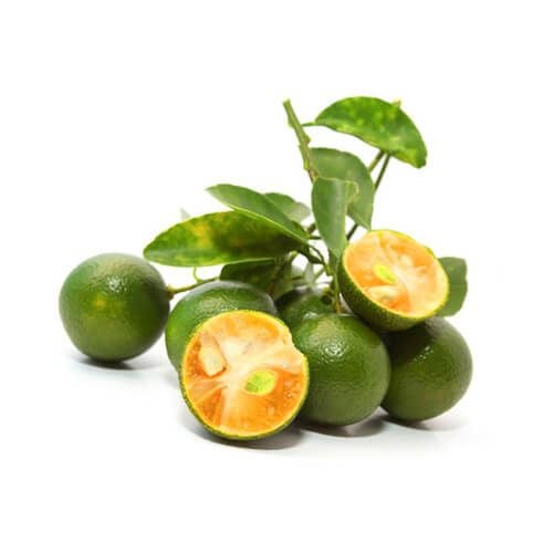 Trái Tắc 500G