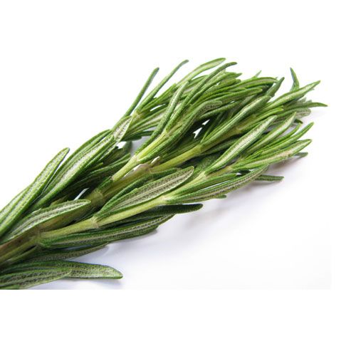 Rosemary 50G- gg rosemary g